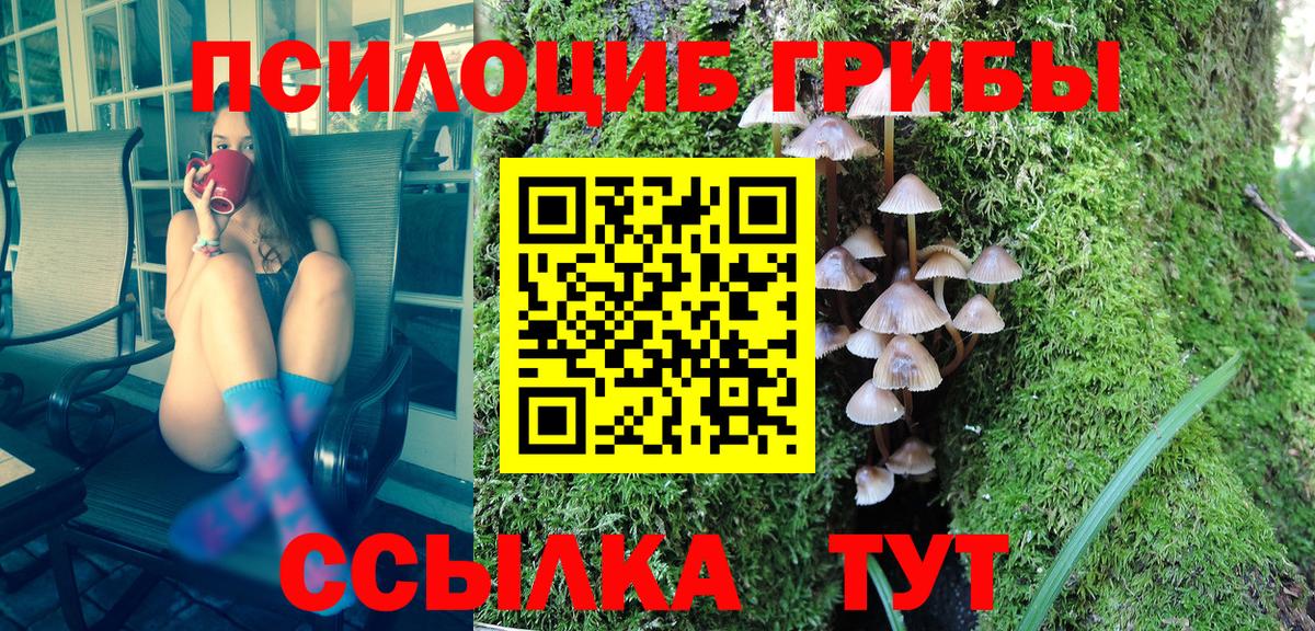 Псилоцибиновые грибы прущие грибы Тара